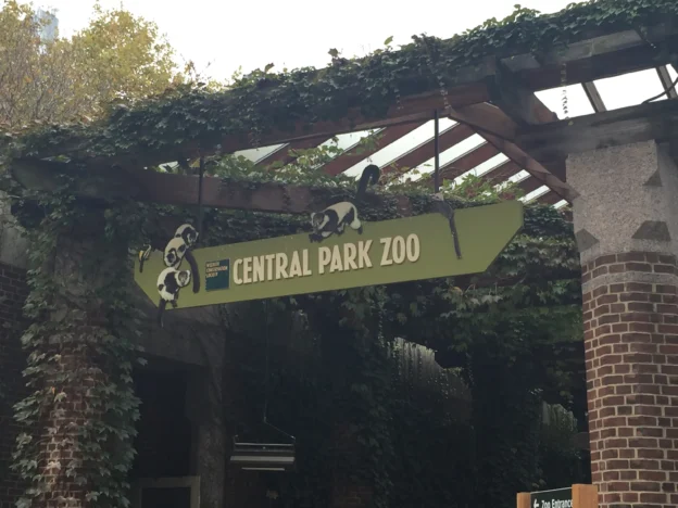 How to Visit Central Park