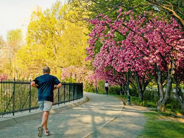 How to Visit Central Park.