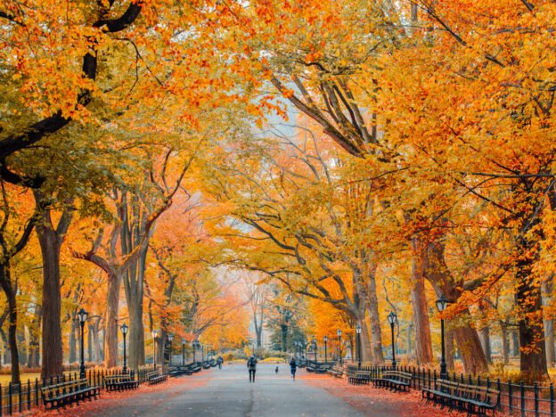 Famous tourist spots in Central Park.