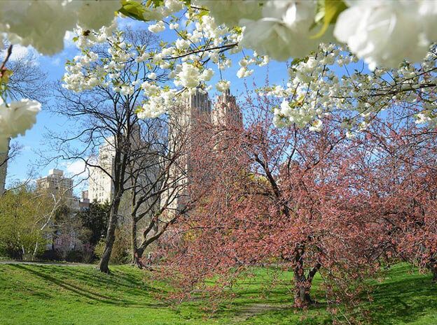 Famous tourist spots in Central Park.