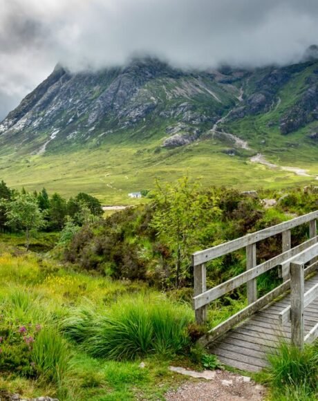 image_processing20231206-2-xcijpx