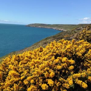 Best Time to Walk the Coast Path