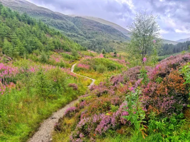 Best Time to Walk the West Highland Way