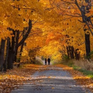 Best Time to Walk the Coast Path