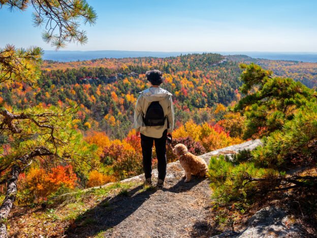 Snowdon Hiking Guide for Beginners