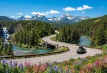 Yellowstone Camping Guide Yellowstone Camping Guide